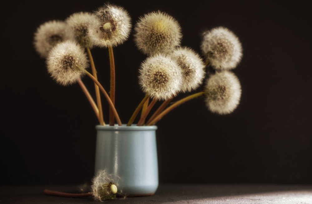 Фотография автора Мария Обидина