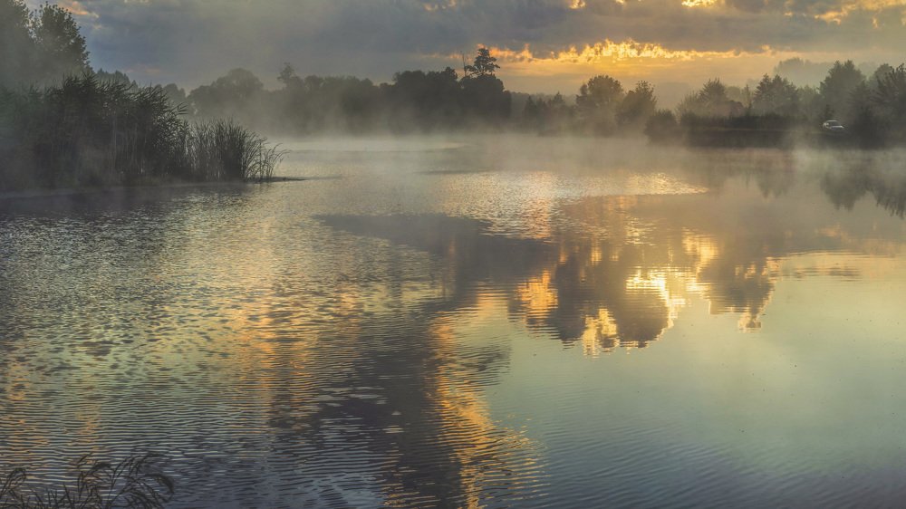 Photograph by Александр Дергаусов