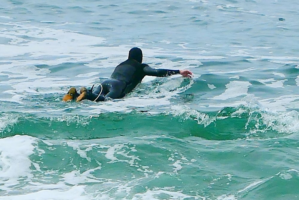 Photograph by Michelle Vaughn