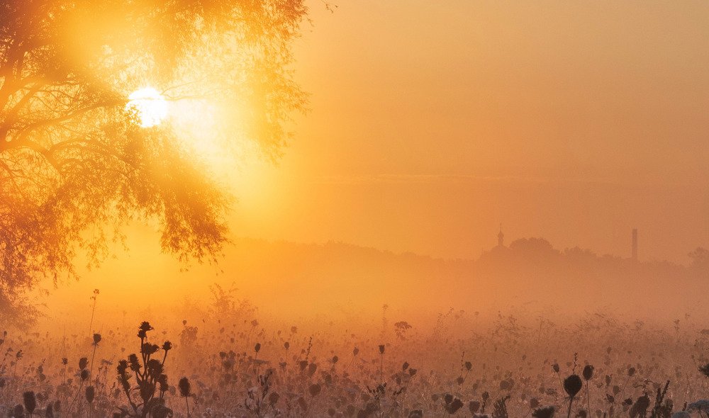 Photograph by Александр Дергаусов