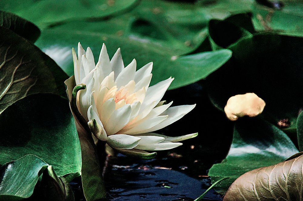 Photograph by Александр