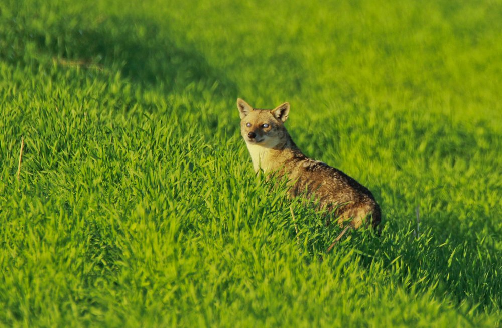 Photograph by Aditya Sapre