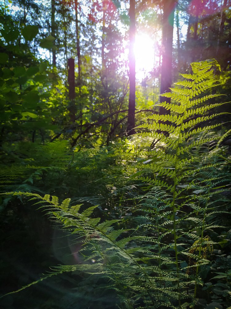 Photograph by Алексей