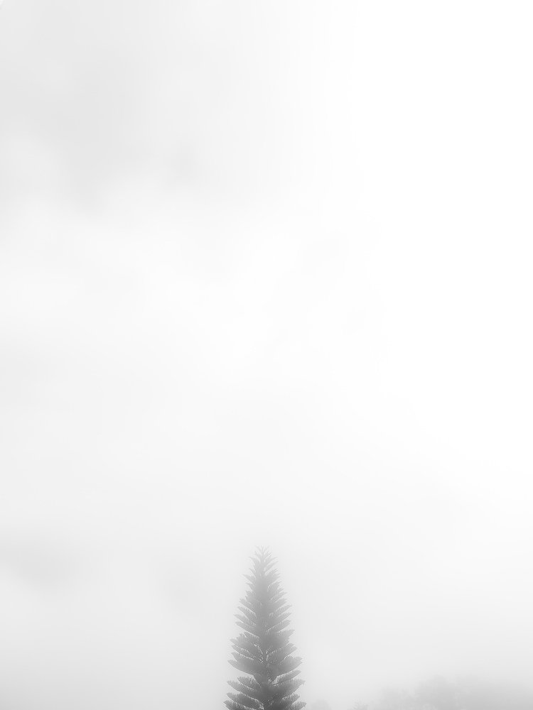 Photograph by Prabin Shrestha