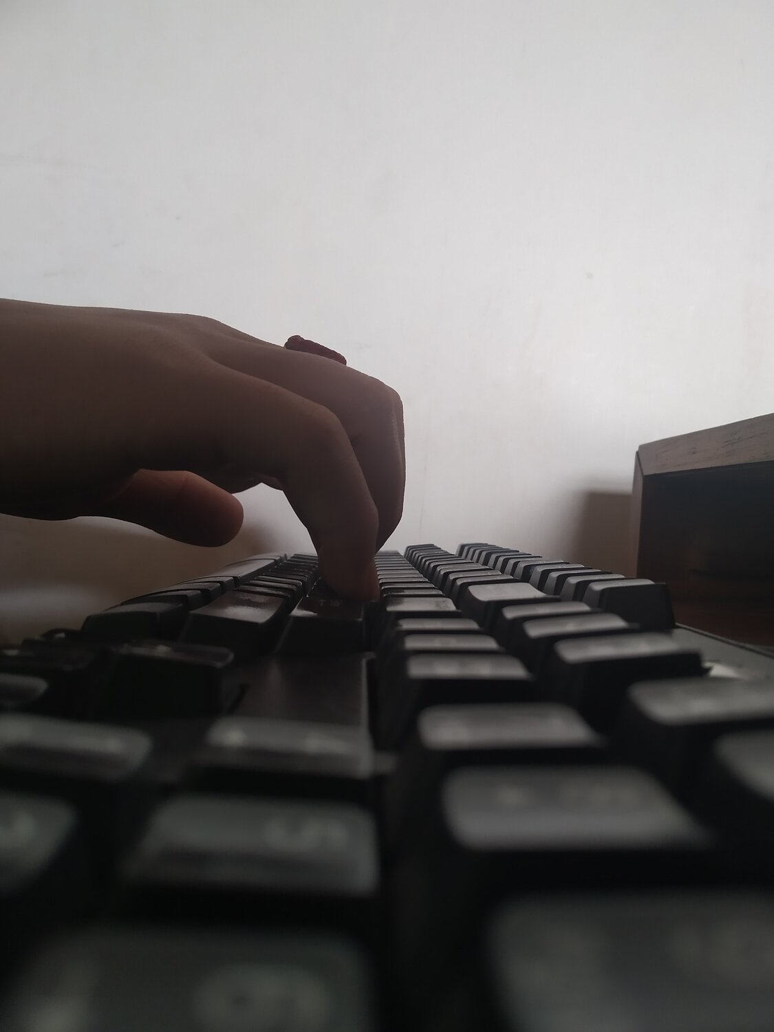 Photo #4829044
