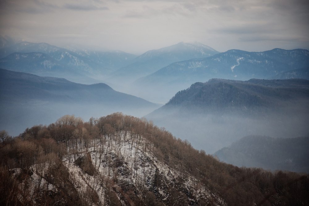 Photograph by EKATERINA WALTER