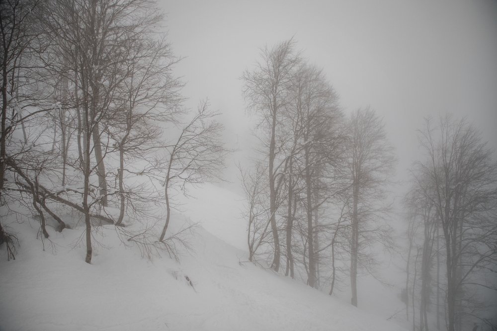 Photograph by EKATERINA WALTER