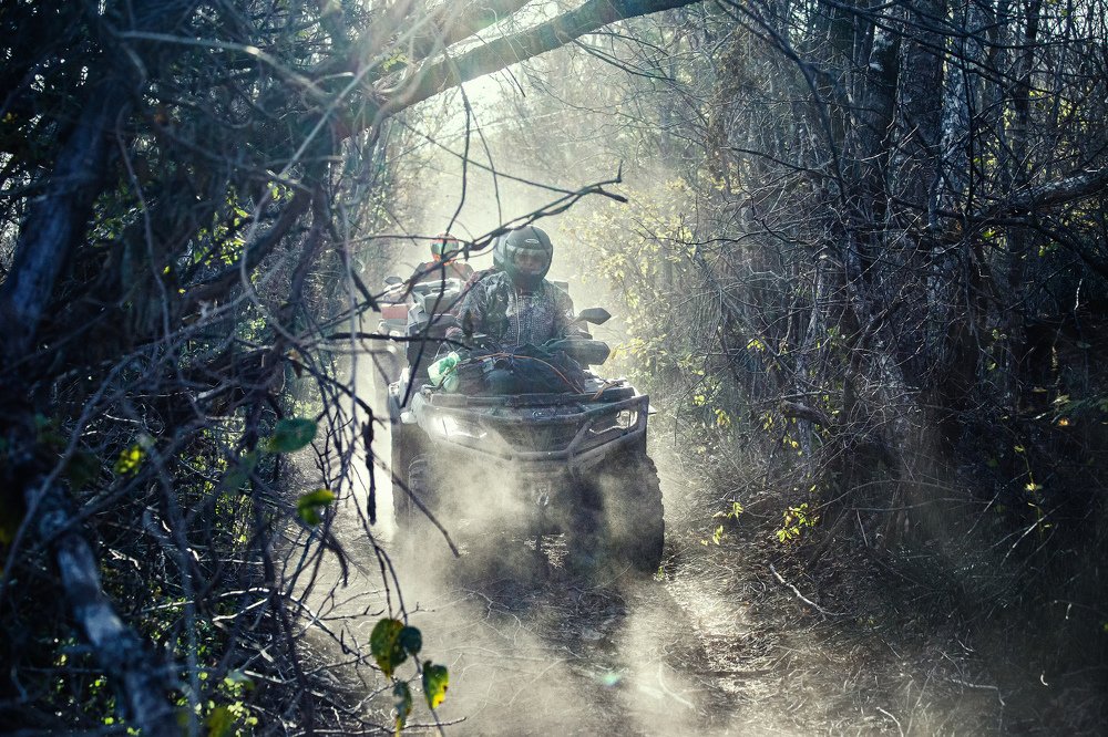 Photograph by Andrey Matveenko