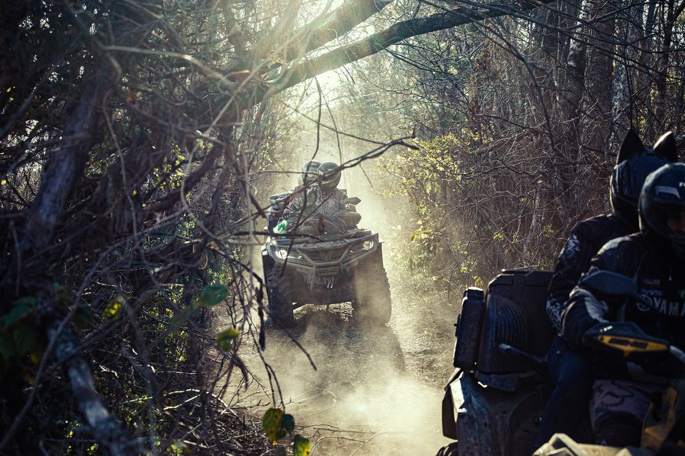 Photograph by Andrey Matveenko