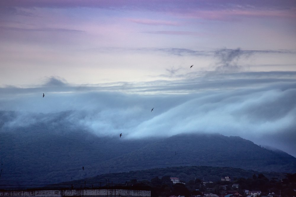 Photograph by Andrey Matveenko