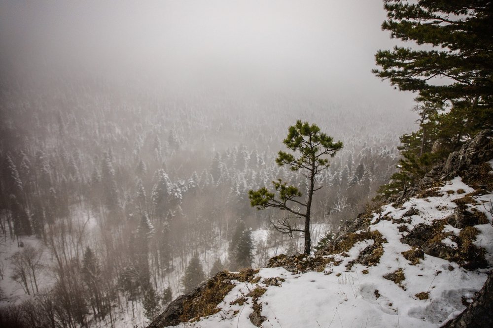 Photograph by EKATERINA WALTER