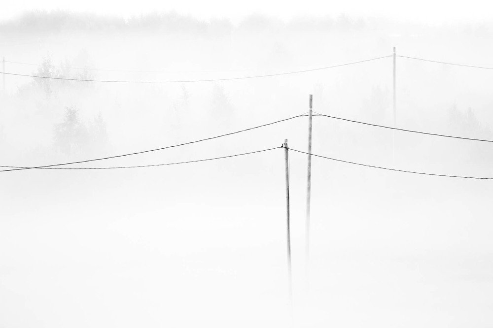 Photograph by Алексей Середенин