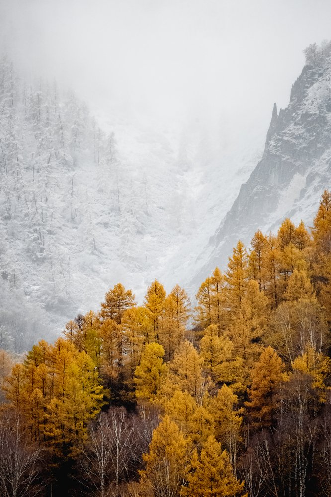 границы сезона.