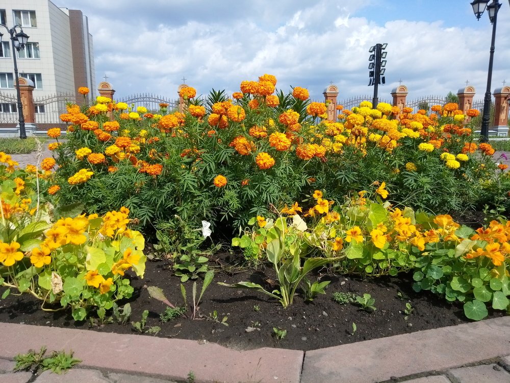 Photograph by Илья Поляков