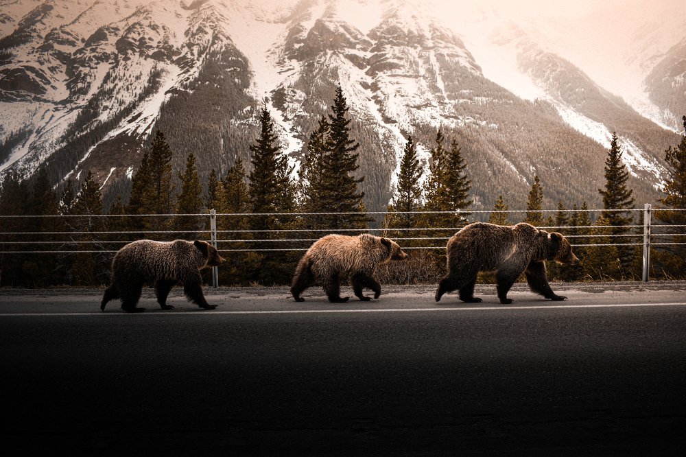 Photograph by Holden Perpelitz