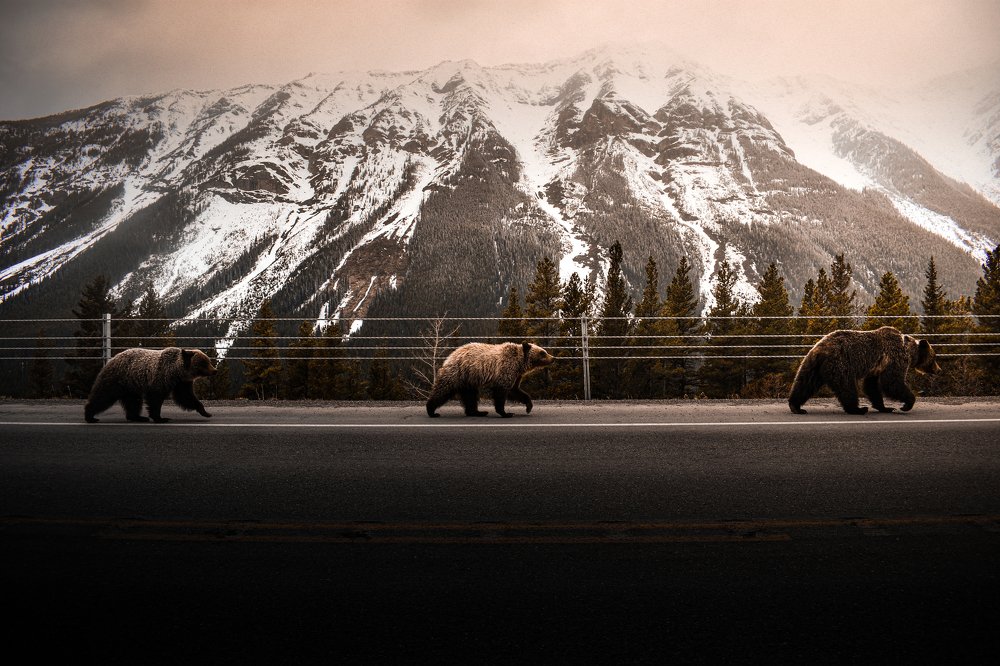 Photograph by Holden Perpelitz