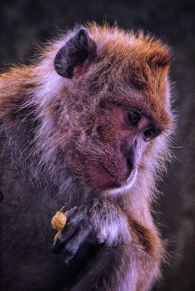 Photograph by Catur Catur Priyo Santoso