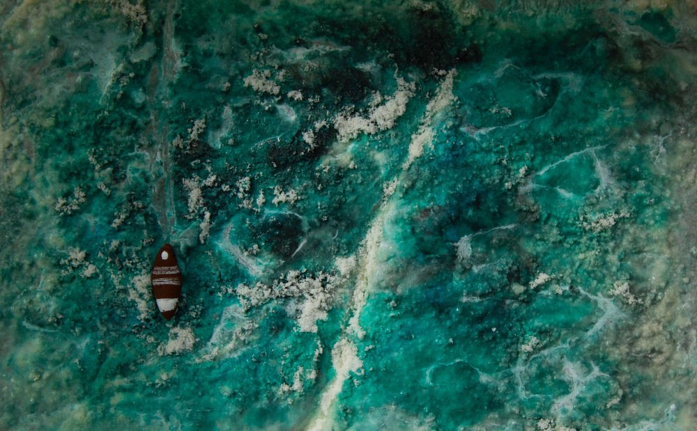 Photograph by Maria T