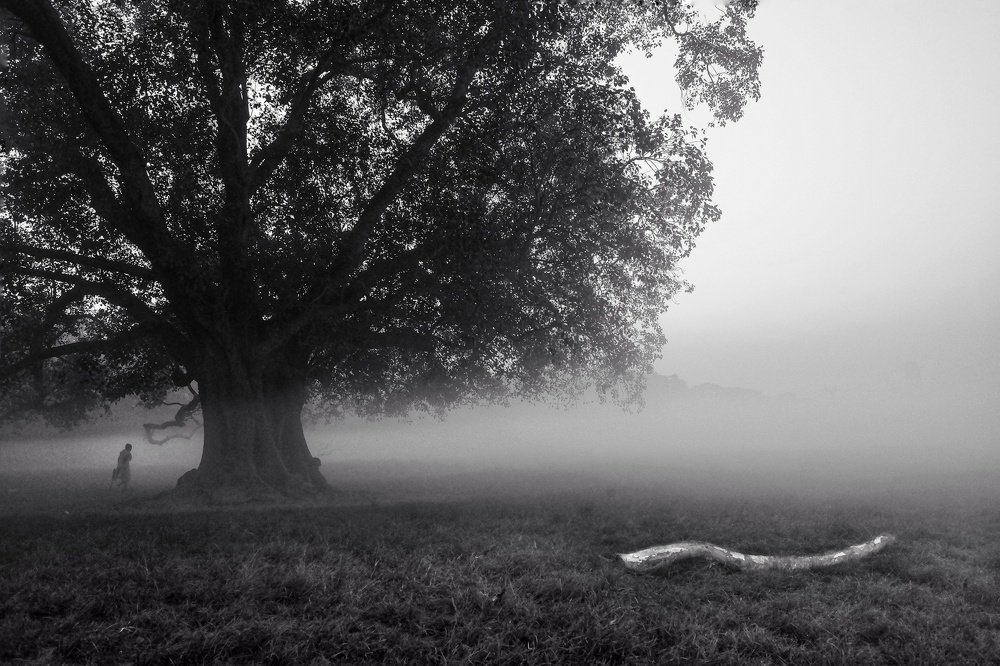 Photograph by Ritesh Ghosh