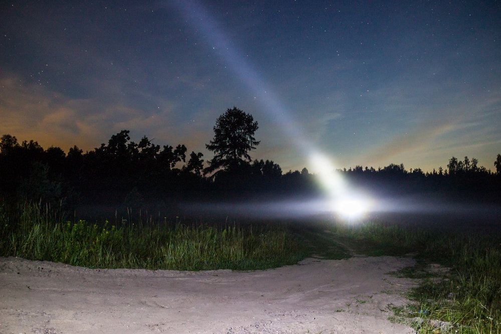 Ночью у дуба