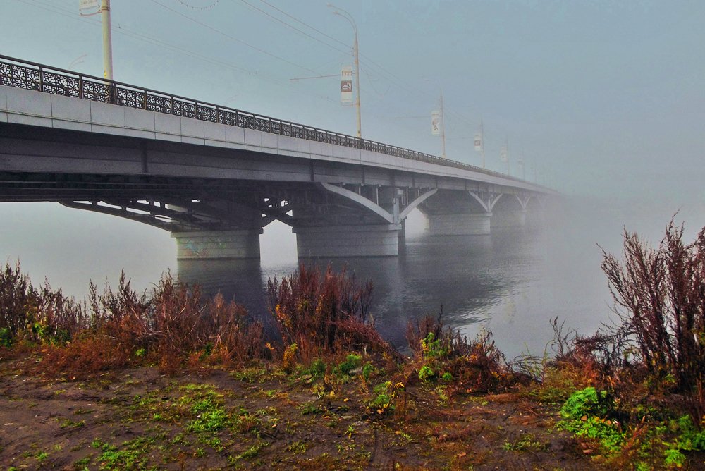 Воронеж. Чернавский мост.