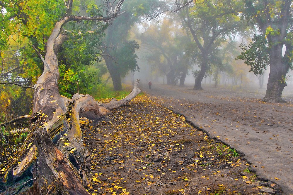 Воронеж. На старой дамбе.