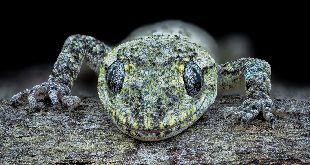 Photograph by Dobrin Ivanov