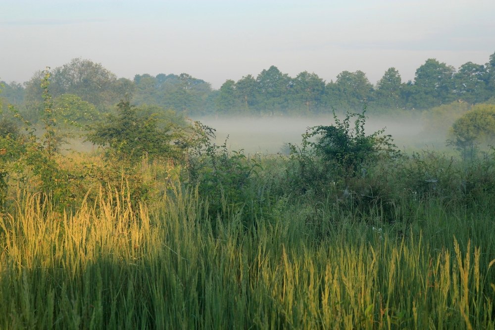 Photograph by Barbara