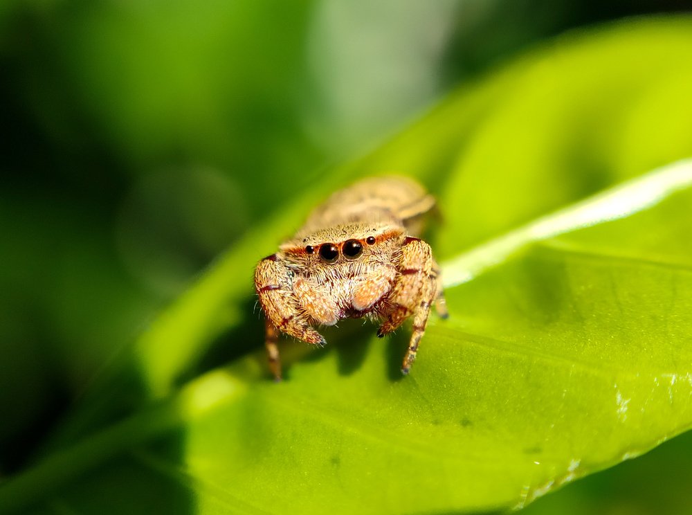 Photograph by Khan Shakil Mohammad