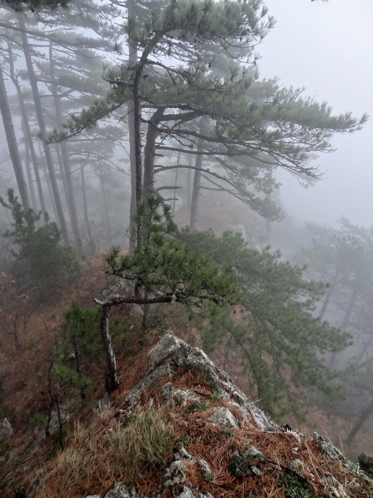 Photograph by Виктор Косюк