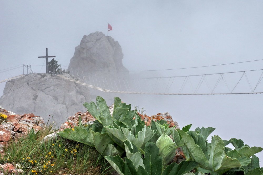 Photograph by Виктор Косюк