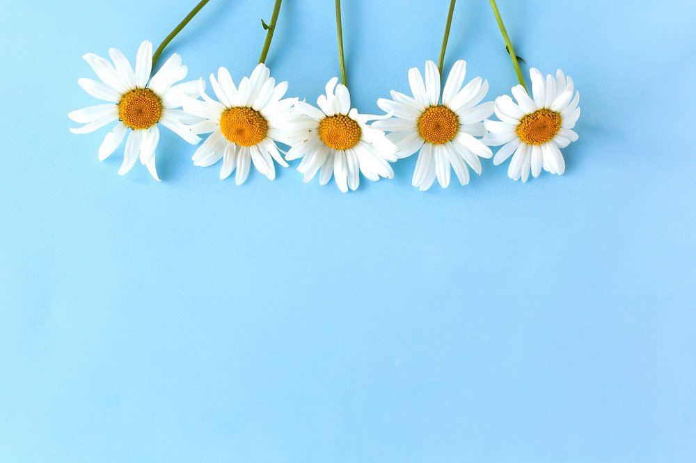 Photograph by  Светлана