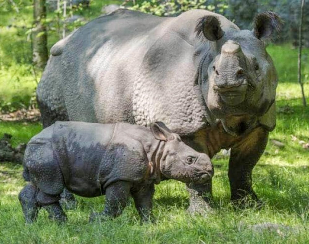 Photograph by Dibyendu Chatterjee