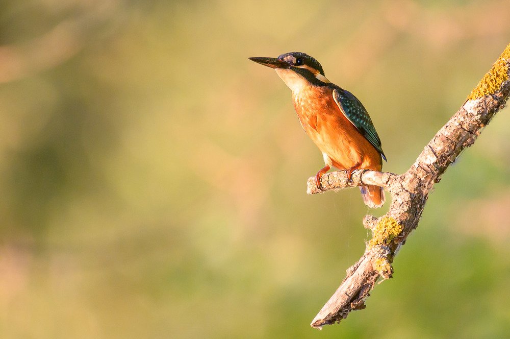 Photograph by Nikolay Hristov