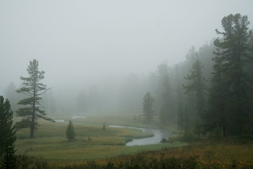 Photograph by Ирина Богатырева