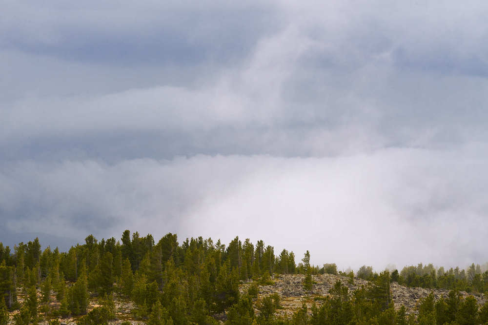 Photograph by Давыдов Павел