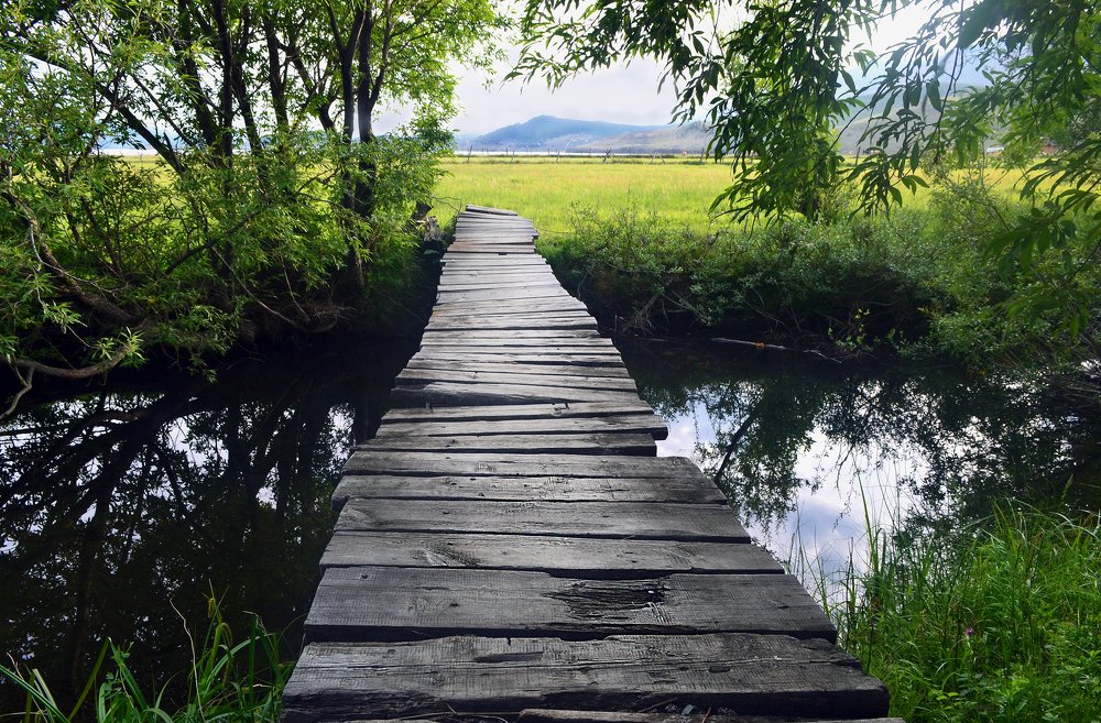 На берегу этой тихой реки