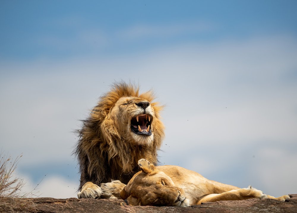 Photograph by  Sajeevkumar