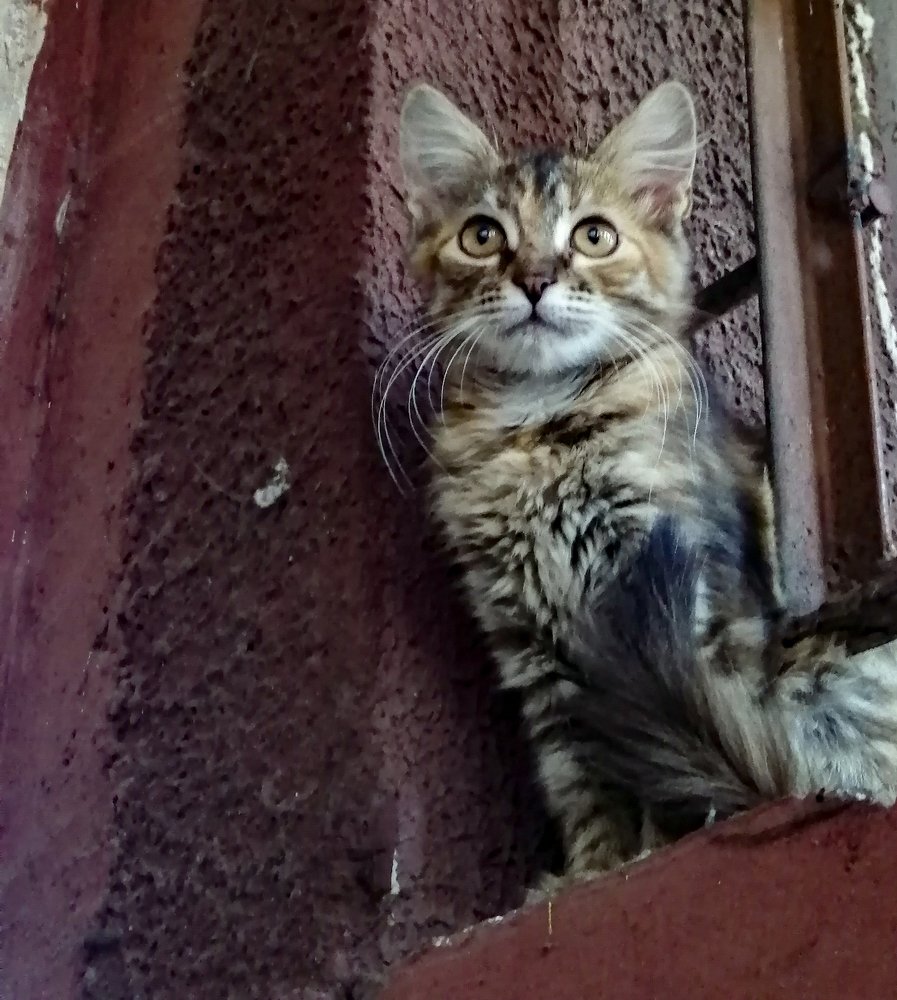 Photograph by Михаил Черкашин