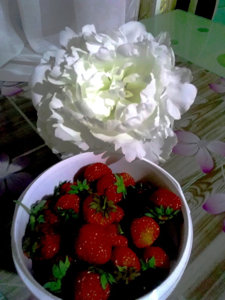 Photograph by Татьяна Потехина
