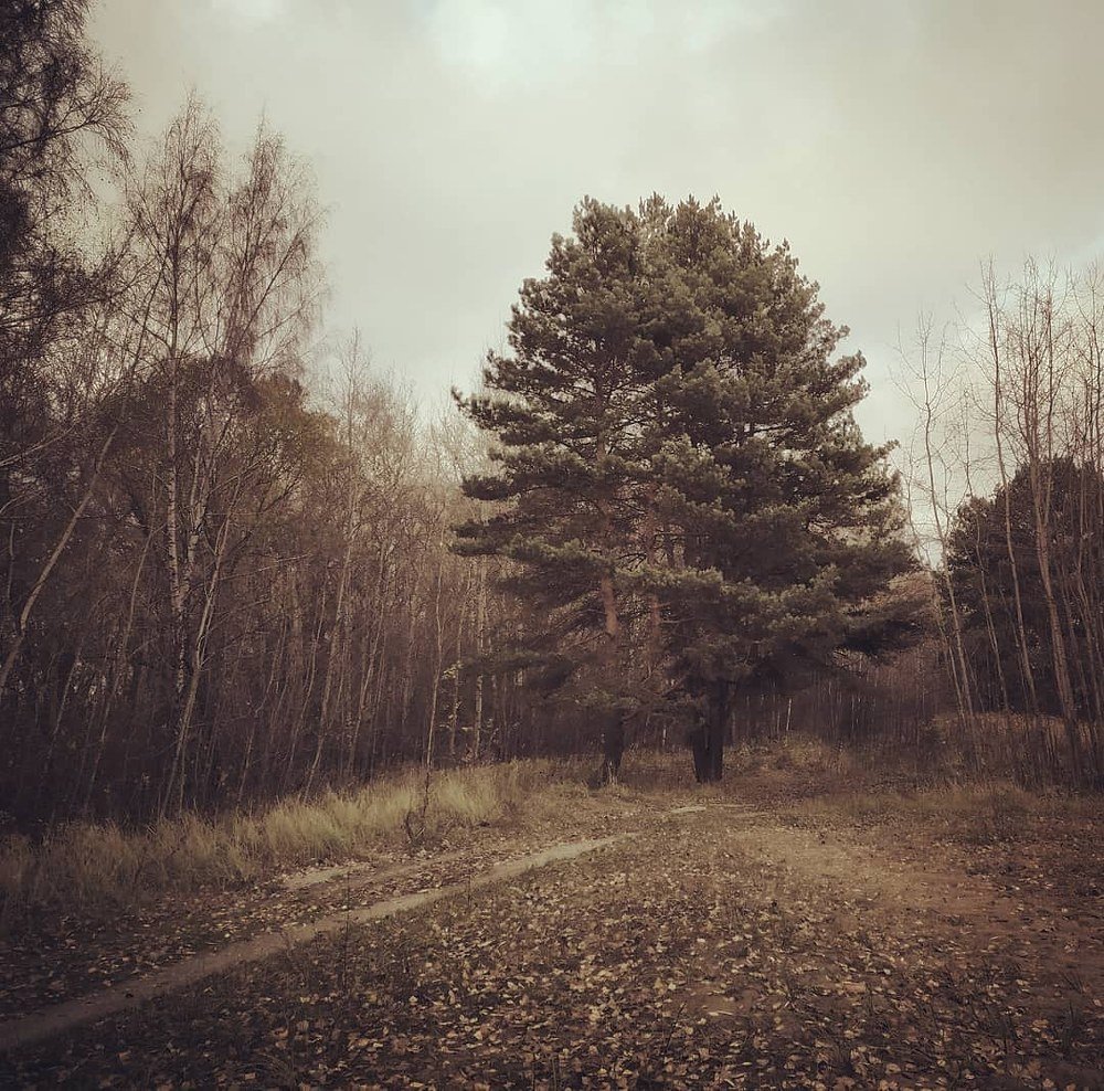 Photograph by Мартынова Ирина