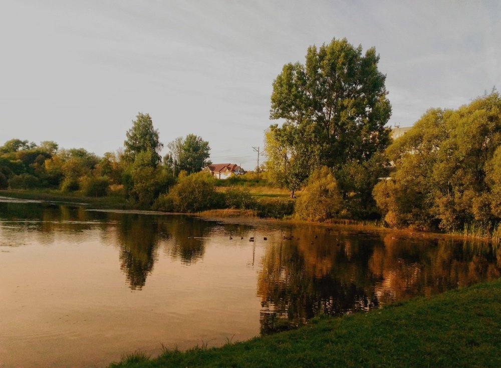 Photo #4829752
