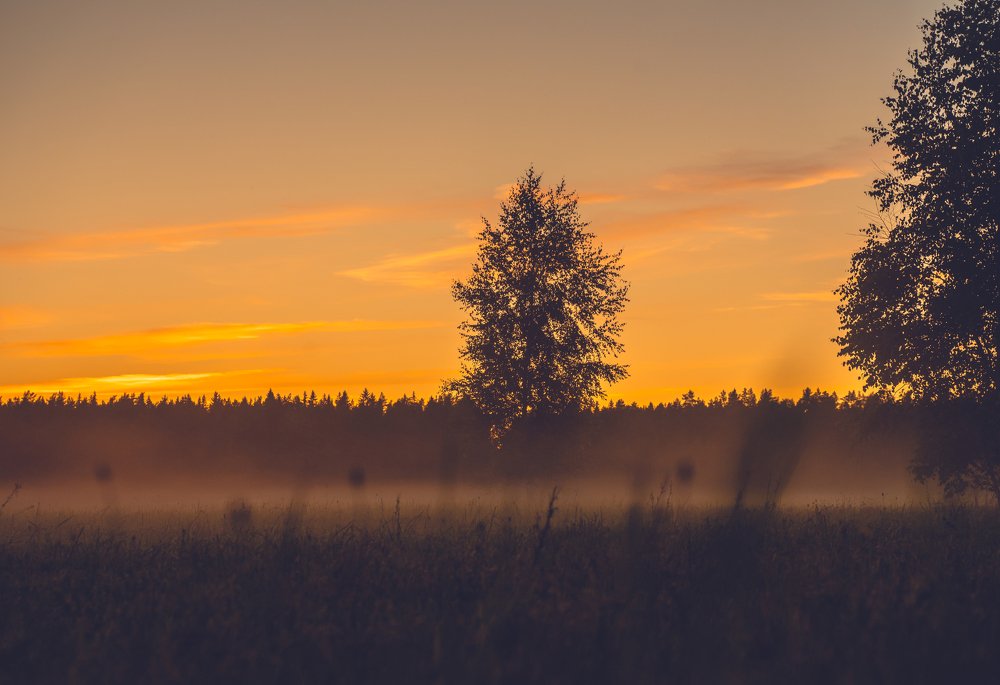 summer evening .  .  .