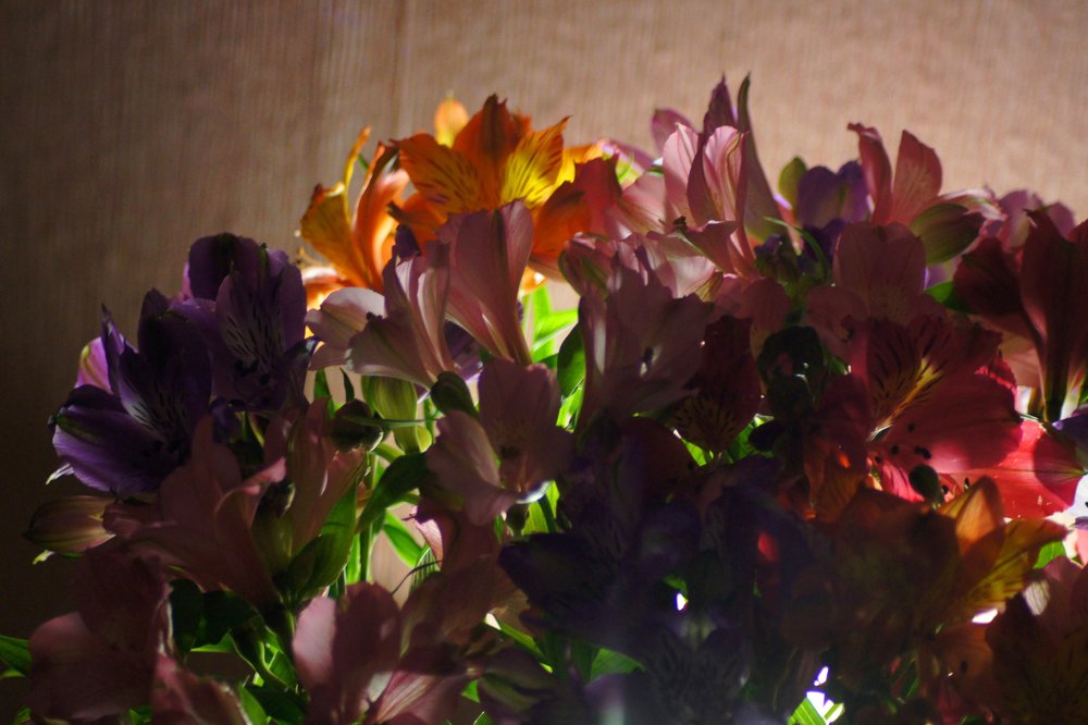 вечерний букет