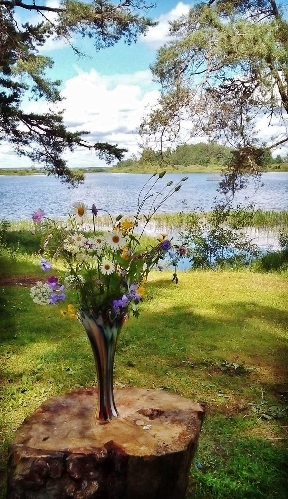 Photograph by Вячеслав Розмин