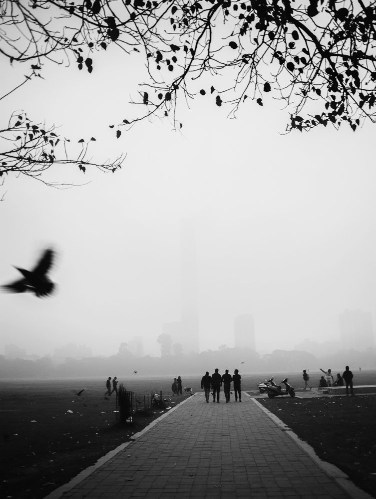 Photograph by Kaustav Gangopadhyay