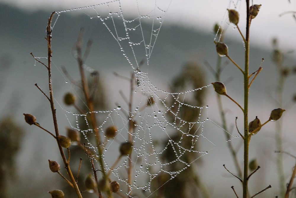 Photograph by Юлия Коротких