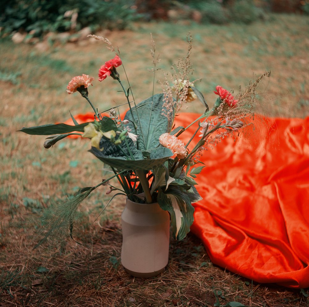 Photograph by Василевская Марина