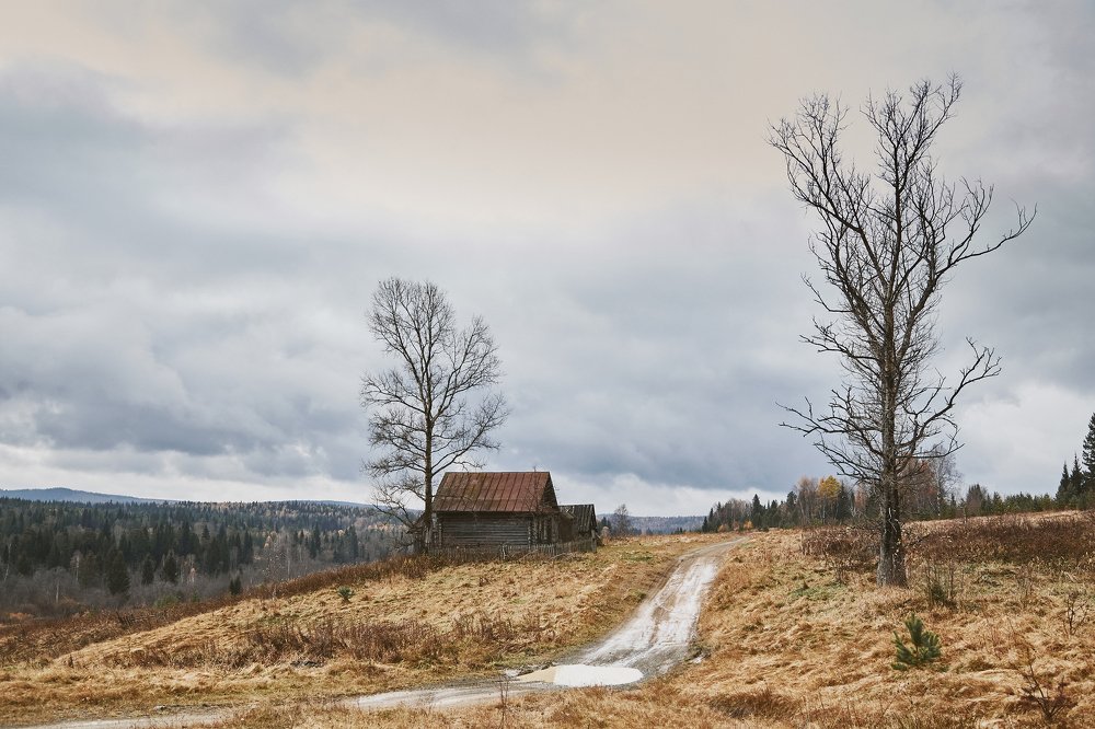 Пейзаж поздней осени