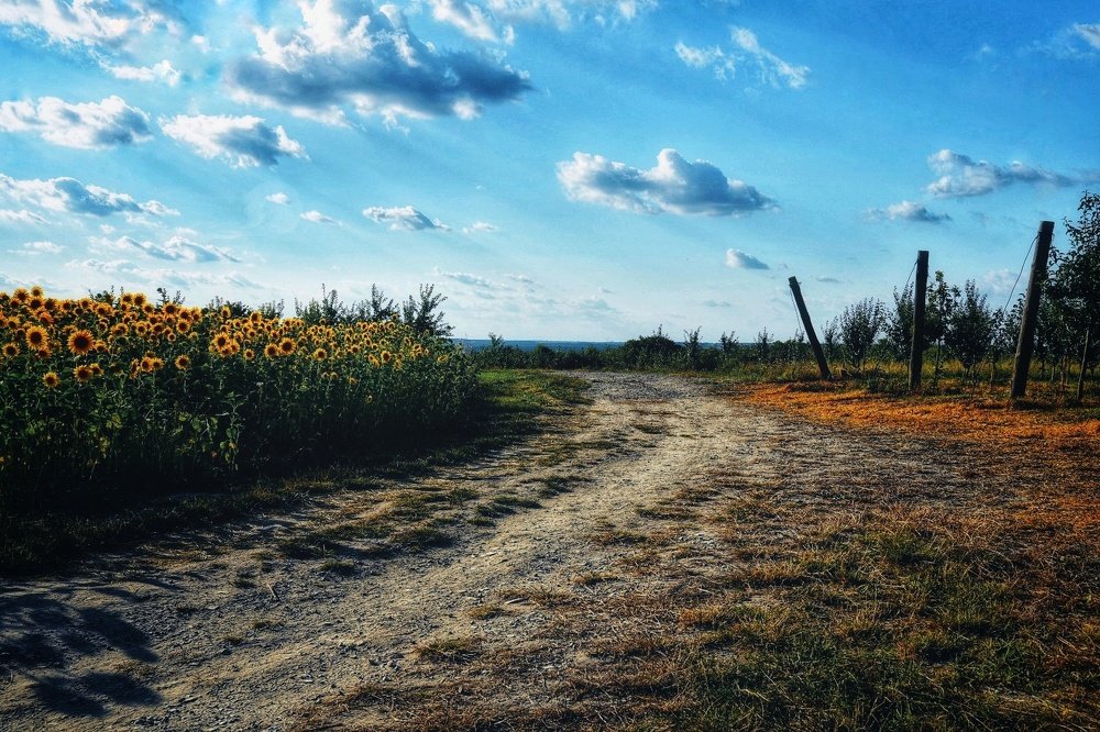 Фотография автора Justyna Jeżak